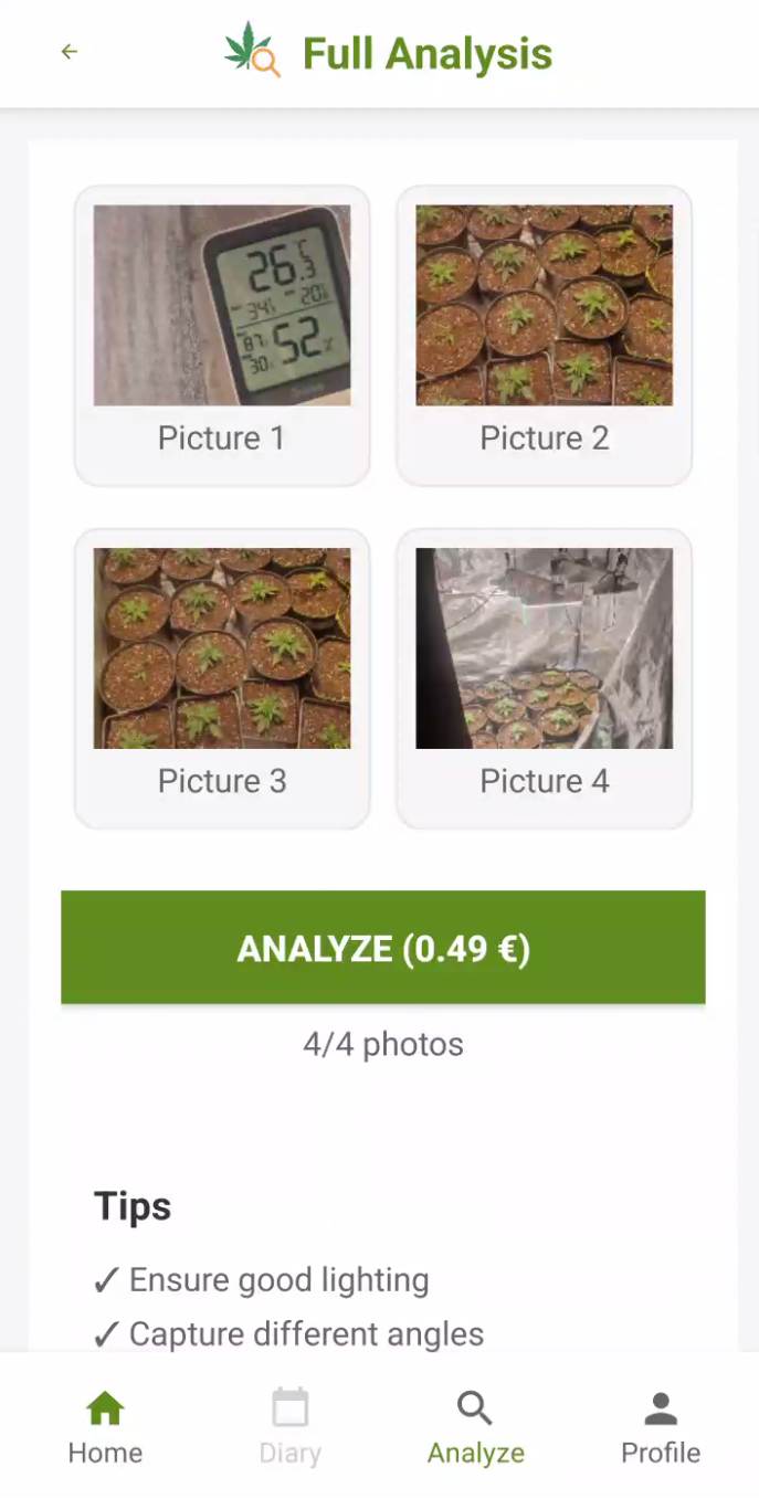 Photo Analysis